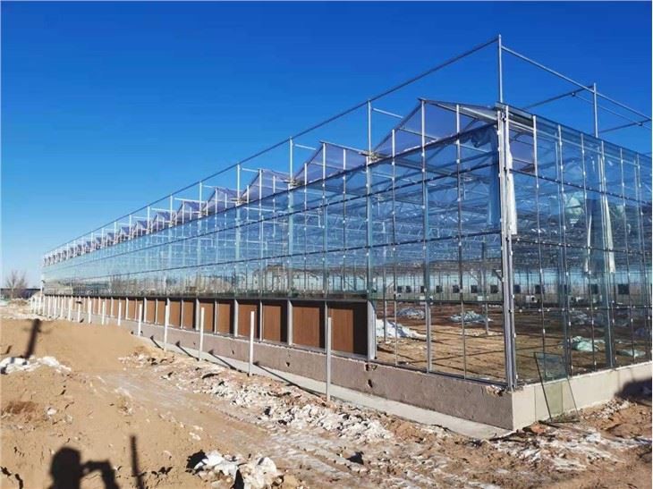 Greenhouse Steel Structure Frame Skeleton