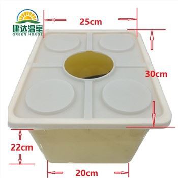 Hollandsk spandplantning af grøntsager