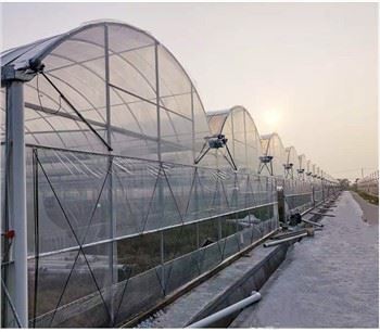 Enkeltlags landbrugsdrivhuse