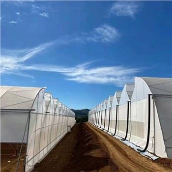 Hydroponic Systems drivhus