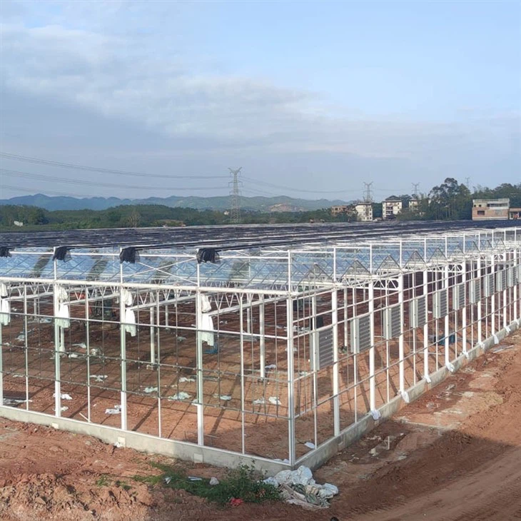 VENLO GREENHOUSE