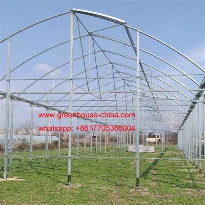 Gotisk film Multi Span Greenhouse