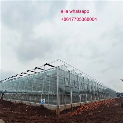 Glasdrivhusdrift